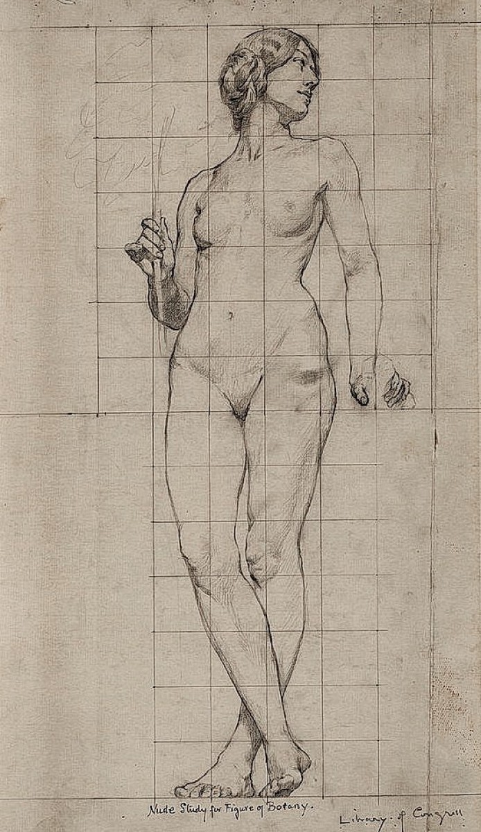 "Desen. Nud" by Kenyon Cox