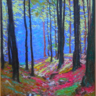 Ернст Биедерманн