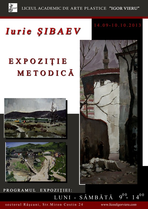 Methodical exhibition. Iurie Shibaev
