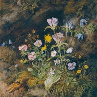 Theodor Josef Petter
