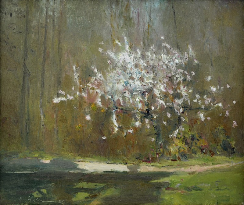 "Pictură. Peisaj. Pleinair" by Emil Childescu