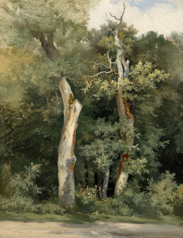 "Pictură. Pleinair" by 19 th. -