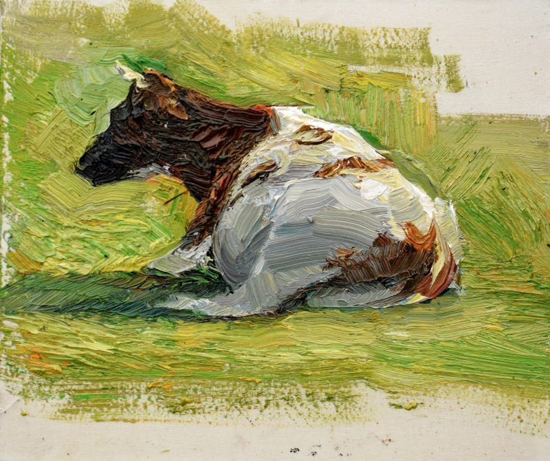 "Studiu. Văcuță" by Cristina Sîrbu, 2017, 250x300mm, oil on canvas