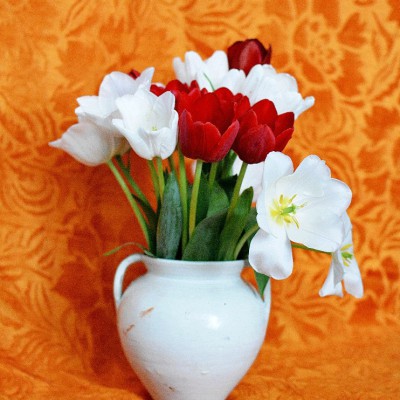 Sâmbătă. Studii cu flori