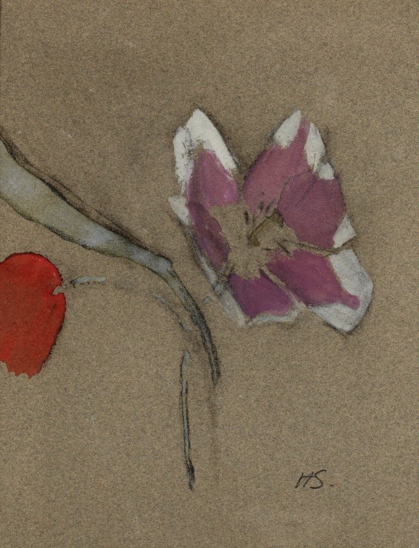 "Sketch. Flowers" by Helene Schjerfbeck