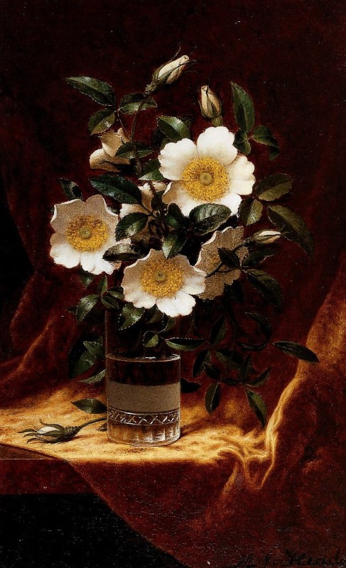 "Pictură. Flori" by Martin Johnson Heade