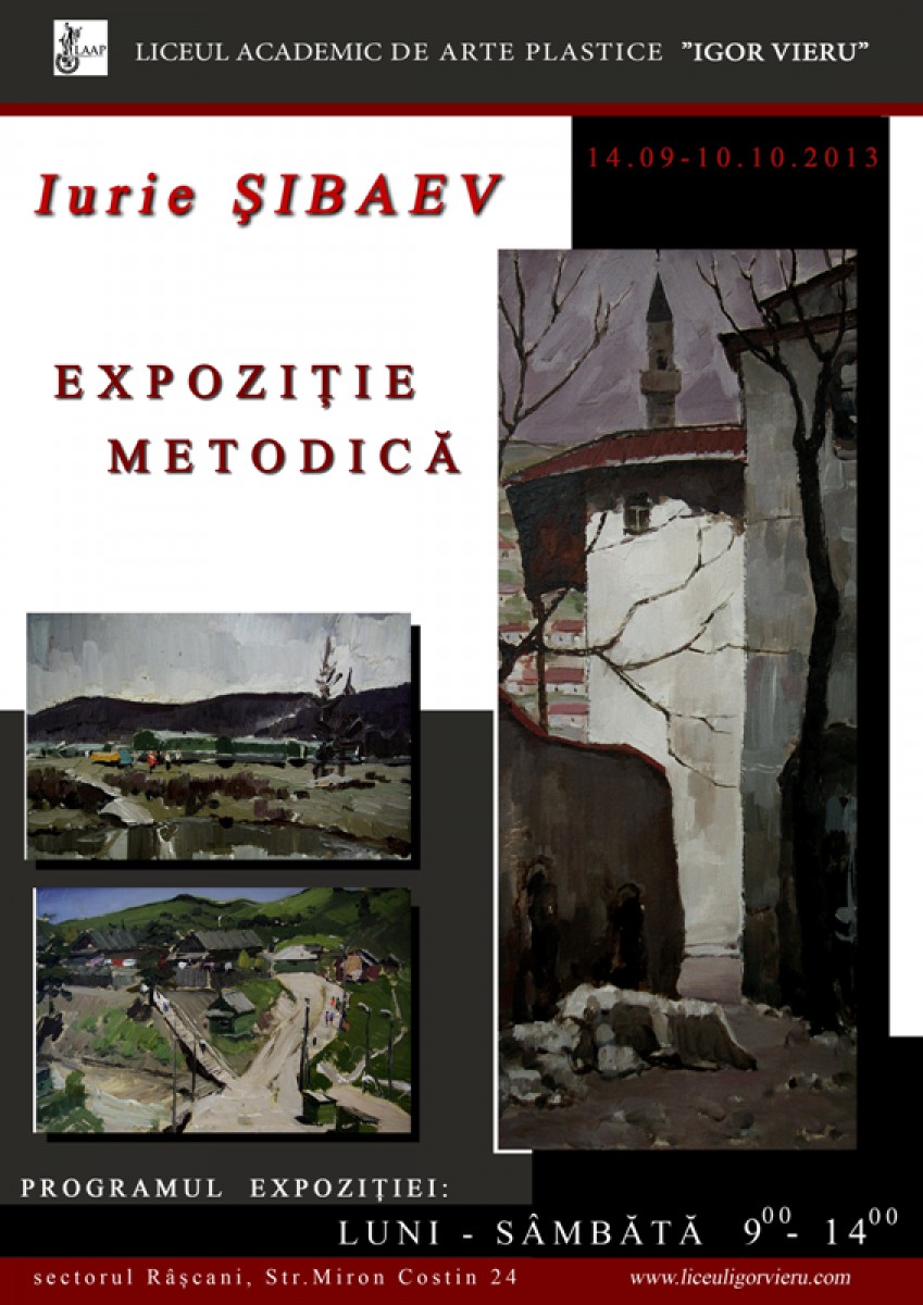 Methodical exhibition. Iurie Shibaev
