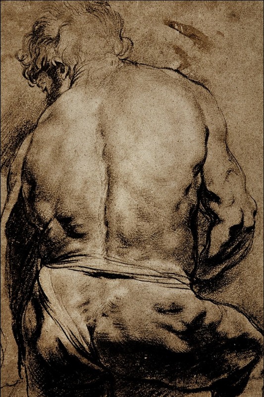 "Desen. Figură / semifigură" by Peter Paul Rubens
