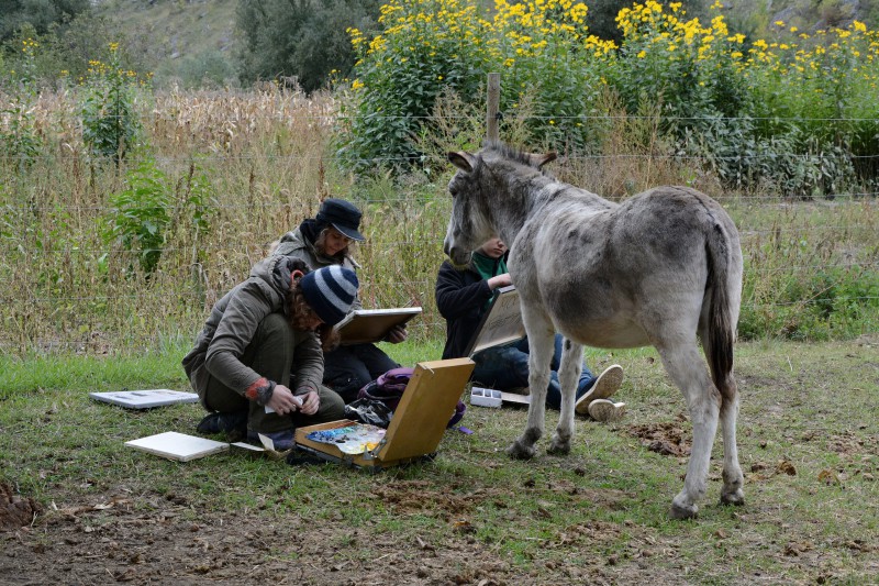 Pleinair session in Butuceni, Moldova. September - October 2017