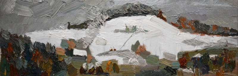 "Motiv. Tesuleasa" by Sorina Păcătos, 2016, 200x600mm, oil on canvas