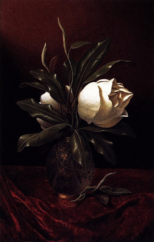 "Pictură. Flori" by Martin Johnson Heade