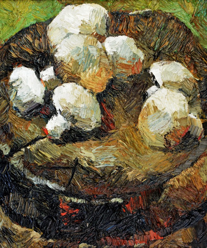 "Studiu. Ciuperci" by Ion Țoncu, 2016, 300x250mm, ulei pe pânză
