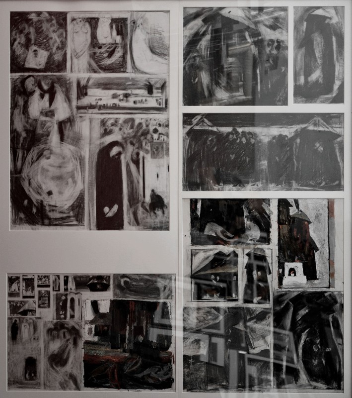 "Căutări către diplomă" by Rodica Dubasari, 2014