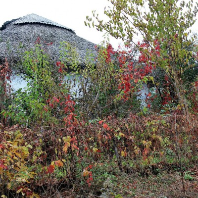 Pleinair de toamnă. Clasa IX - primele studii în ulei. octombrie 2013