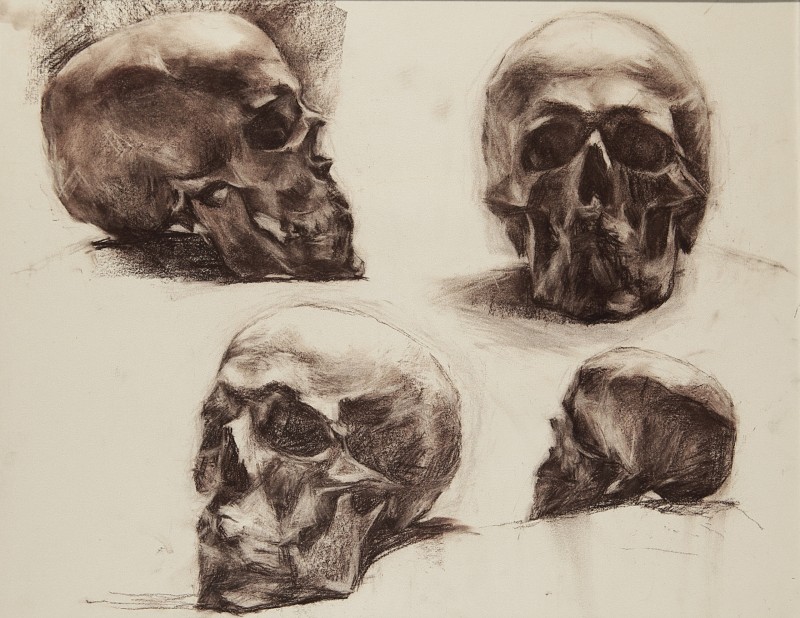 "Cranii" by Oxana Țip, 2005, 499x500mm, Russian sauce pe hârtie