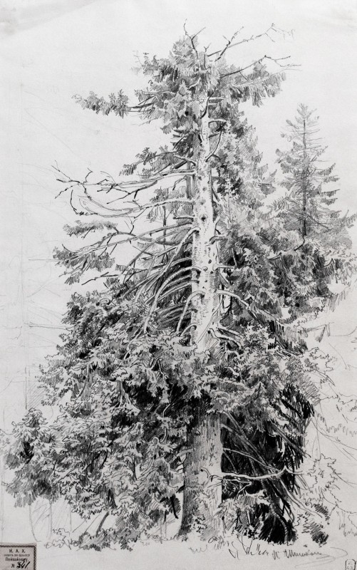 "Desen. Peisaj" by Ivan Shishkin