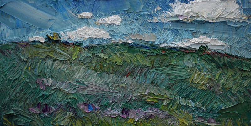 "Painting. Landscape. Pleinair. Long term" by Vlada Cibuc, 200x400mm, oil on canvas