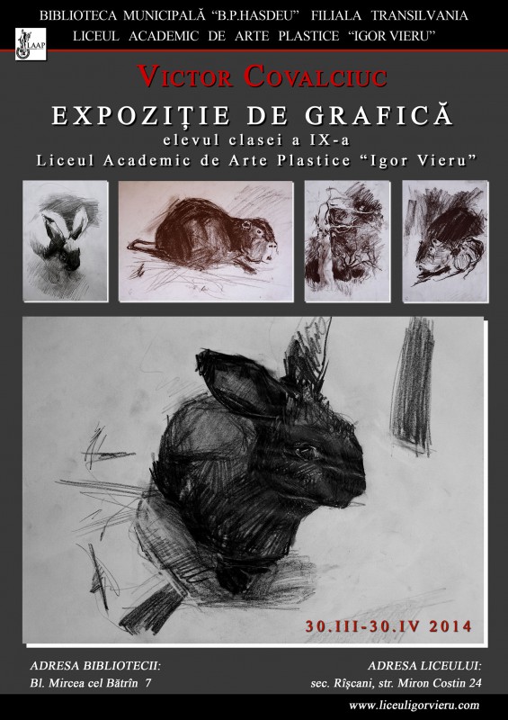 Drawings of student of IX form - Victor Covalciuc
