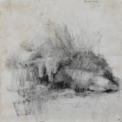 Test la desen. Clasa a XI-a. 03 noiembrie 2016