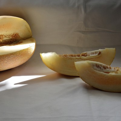 Studii și desene ale elevilor. Septembrie 2020