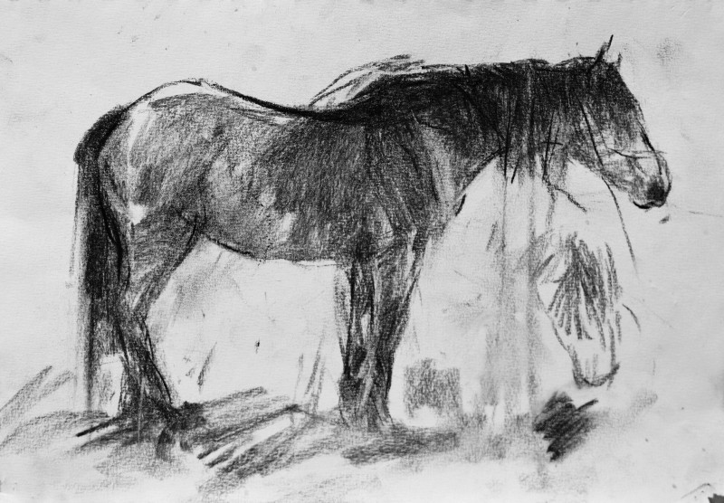 "Drawing. Animals" by Gheorghe Lisița, mixed technique on paper