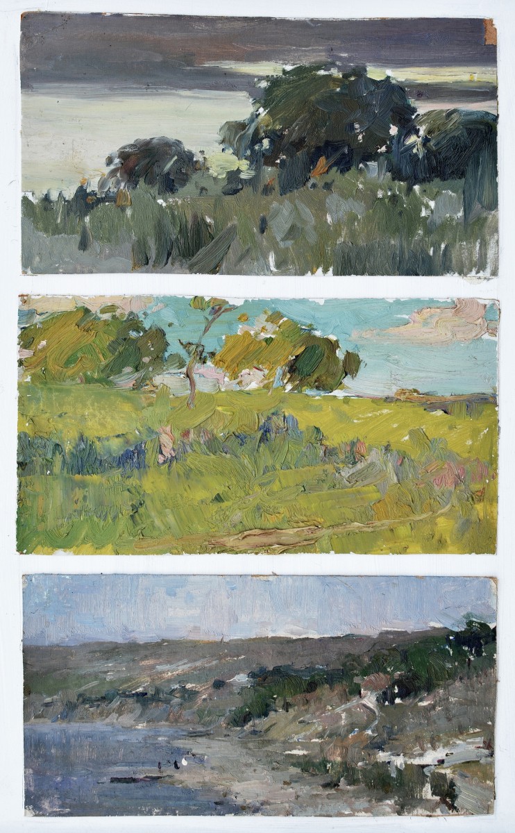"Painting. Landscape. Pleinair" by Anatol Colceac