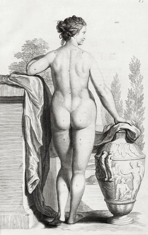 "Desen. Nud" by Govert Bidloo