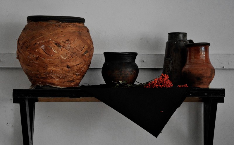 Modele și compoziții cu natură statică. Septembrie - Noiembrie 2020