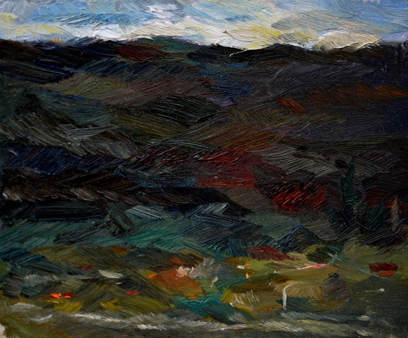 "Painting. Landscape. Pleinair. Pleinair moldova" by Nina Apostol, oil on canvas