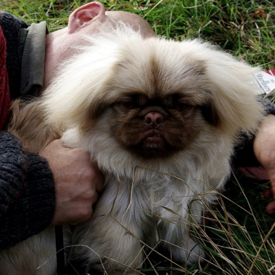 Pleinair de toamnă. Clasa IX - primele studii în ulei. octombrie 2013