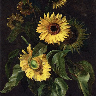 Apollinaire Louis Sicard