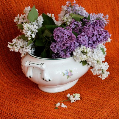 ... în ateliere / mai 2021 /