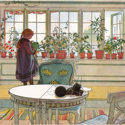 Carl-Marcus Larsson