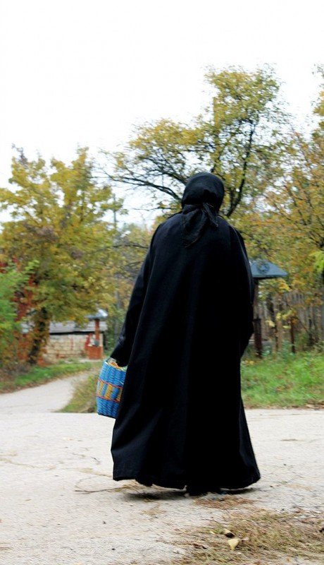 Pleinair de toamnă. Clasa IX - primele studii în ulei. octombrie 2013