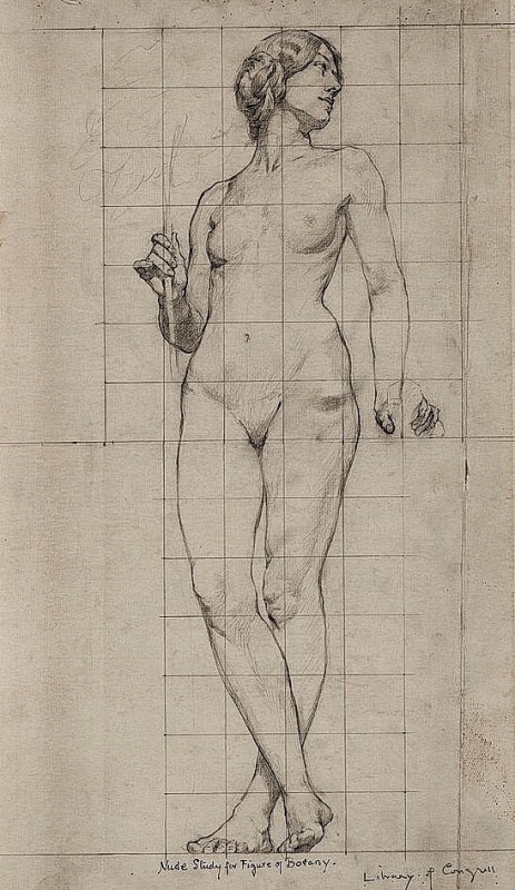 "Desen. Nud" by Kenyon Cox