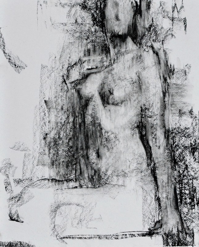 "Crochiu. Nud" by Виcтор Теслару, 2015, 500x400mm, соус / бумага