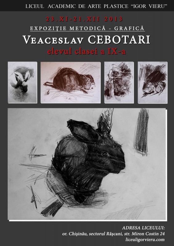 Methodical exposition. Graphics. Veaceslav Cebotari - student in the IX grade