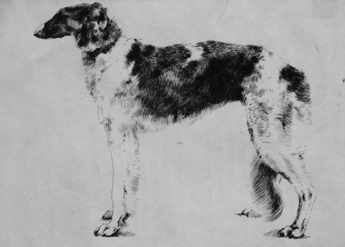 "Schițe către diplomă" by Cristina Grinciuc, 2012, 150x200mm, acuarelă