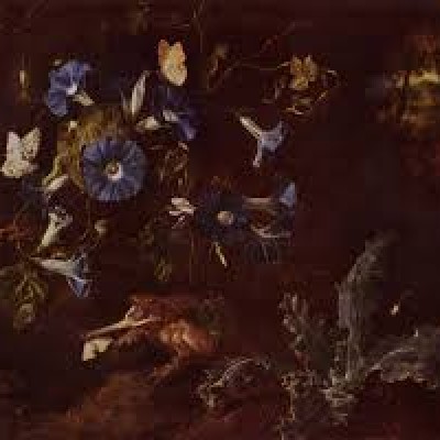 Otto Marseus van Schrieck