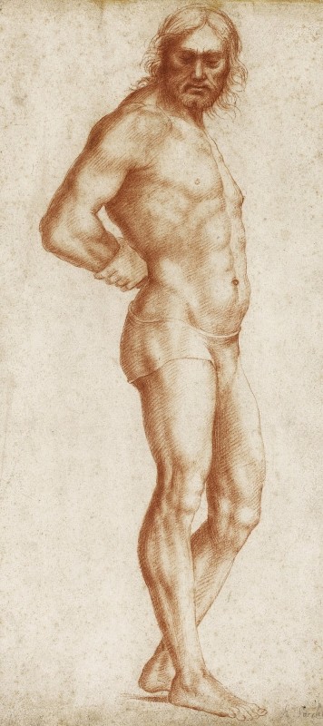 "Drawing. Nude" by Il Sodoma