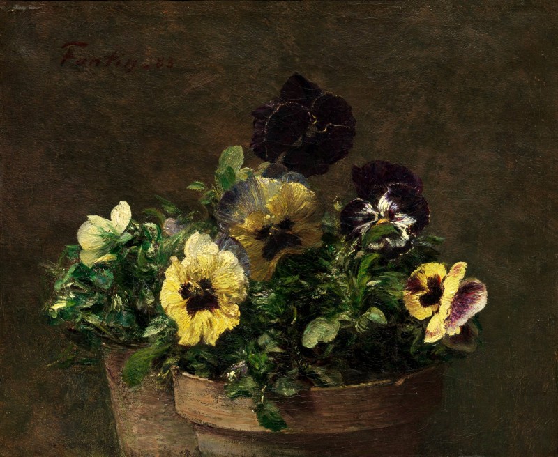 "Pictură. Flori" by Henri Fantin-Latour