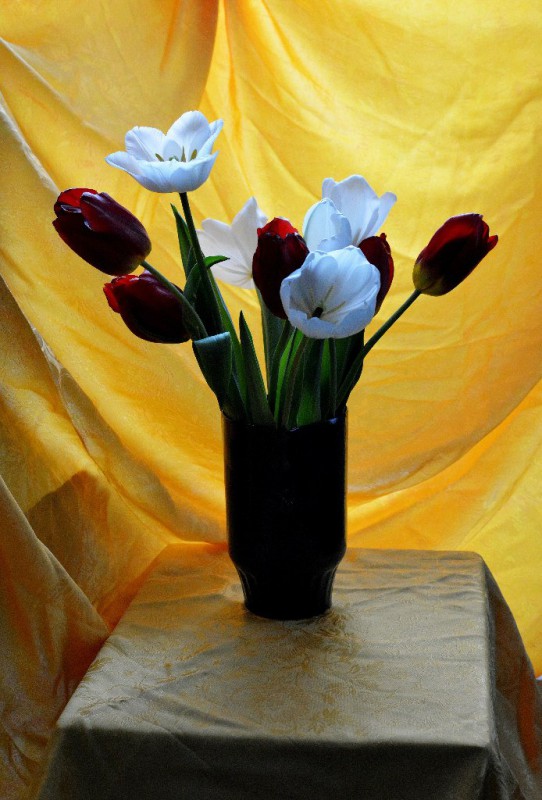 Sâmbătă. Studii cu flori