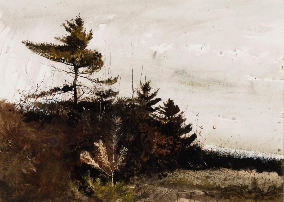"Pictură. Peisaj" by Andrew Wyeth