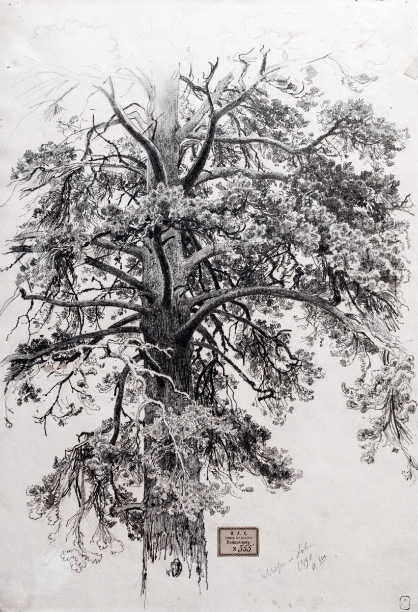 "Desen. Pleinair" by Ivan Shishkin