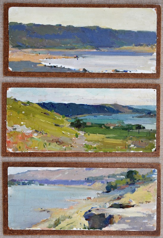 "Painting. Landscape. Pleinair" by Anatol Colceac
