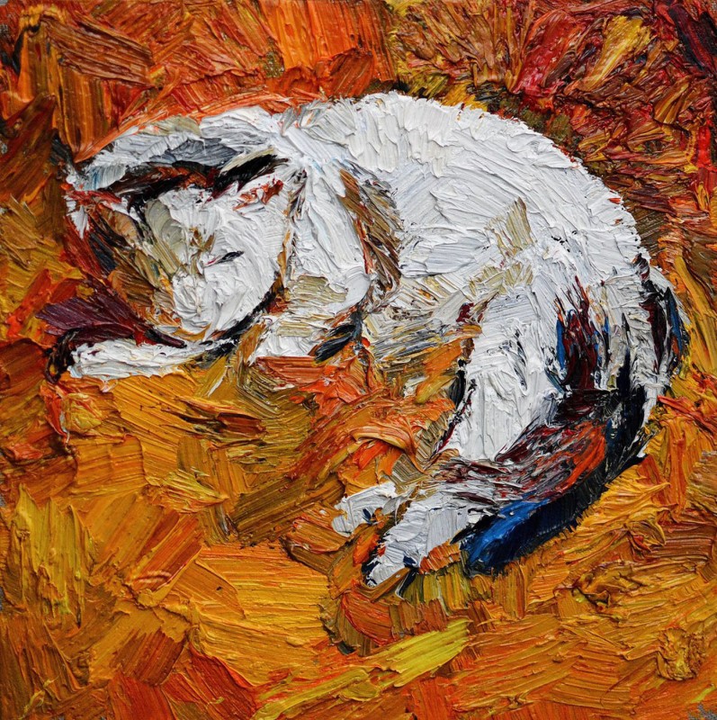 "Studiu. Pisică" by Maia Doina, 2016, 300x300mm, oil on canvas