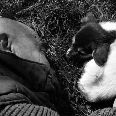 Анатол Гимпу at Анатол Гимпу. Воспоминания ...