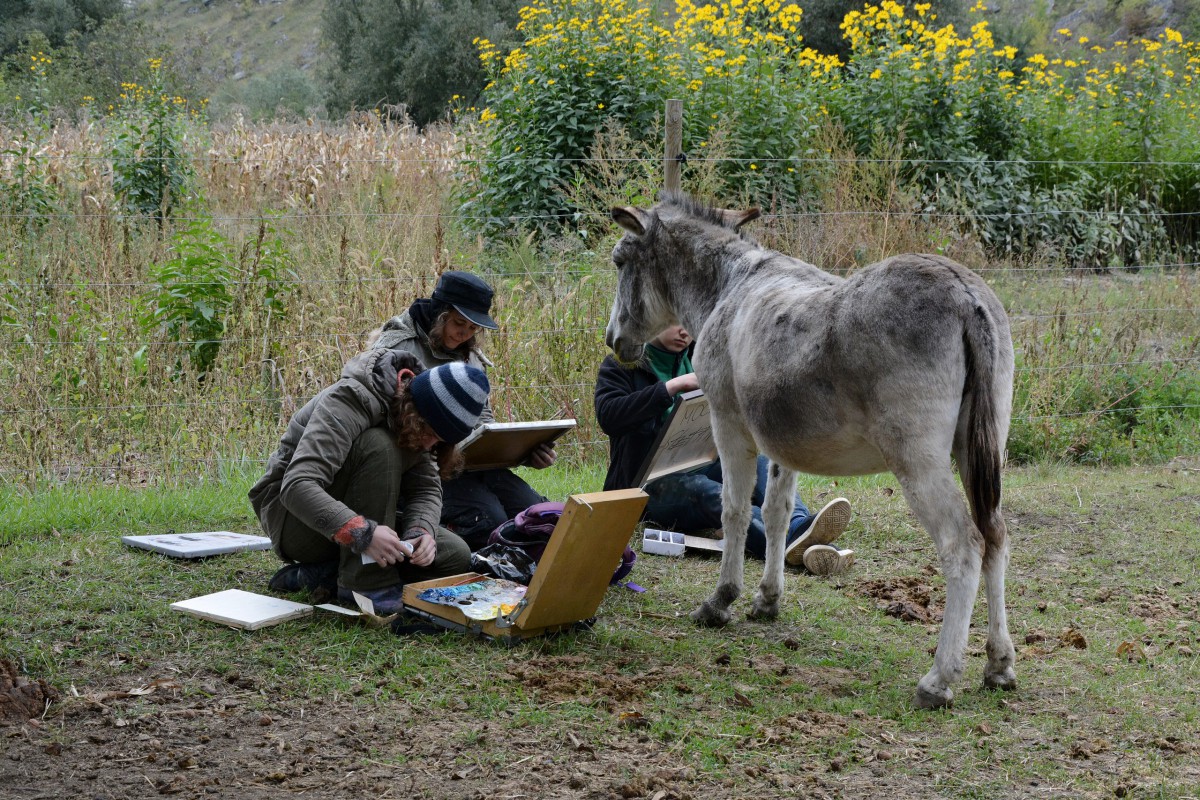 Pleinair session in Butuceni, Moldova. September - October 2017