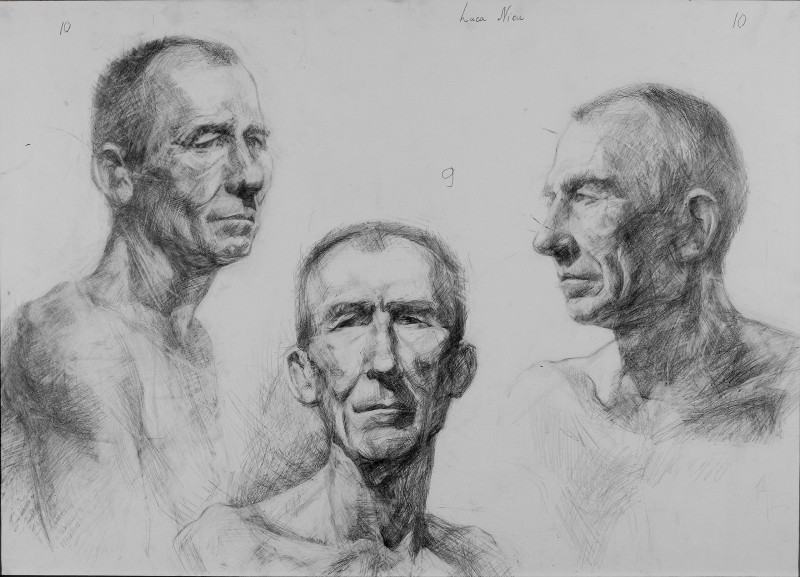 "Cap (3 poziții)" by Ниcолае Луcа, 2007, 500x700mm, карандаш / бумага