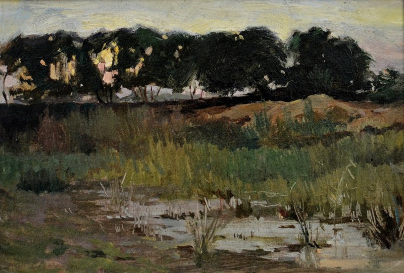 "Pictură. Peisaj" by Veniamin Slobodzinschii, ulei pe pânză